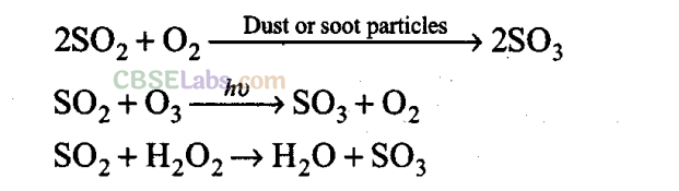 NCERT Exemplar Class 11 Chemistry Chapter 14 Environmental Chemistry-6