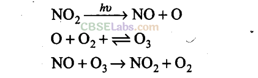NCERT Exemplar Class 11 Chemistry Chapter 14 Environmental Chemistry-7