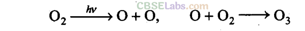 NCERT Exemplar Class 11 Chemistry Chapter 14 Environmental Chemistry-8