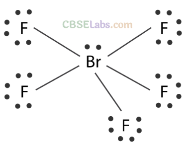 NCERT Exemplar Class 11 Chemistry Chapter 4 Chemical Bonding and Molecular Structure-19