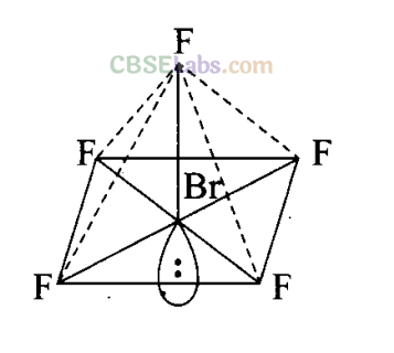 NCERT Exemplar Class 11 Chemistry Chapter 4 Chemical Bonding and Molecular Structure-20