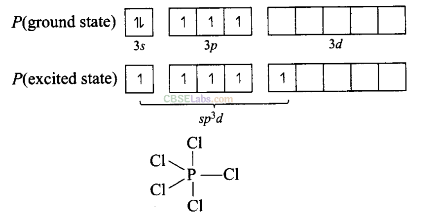 NCERT Exemplar Class 11 Chemistry Chapter 4 Chemical Bonding and Molecular Structure-25