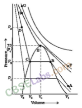 NCERT Exemplar Class 11 Chemistry Chapter 5 States of Matter-13