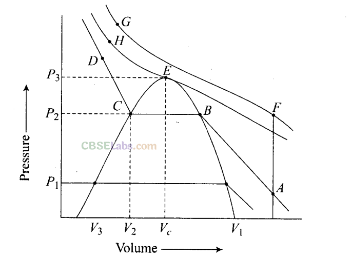 NCERT Exemplar Class 11 Chemistry Chapter 5 States of Matter-14