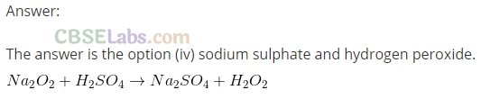NCERT Exemplar Class 11 Chemistry Chapter 9 Hydrogen-8
