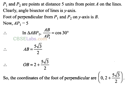 NCERT Exemplar Class 11 Maths Chapter 10 Straight Lines-20
