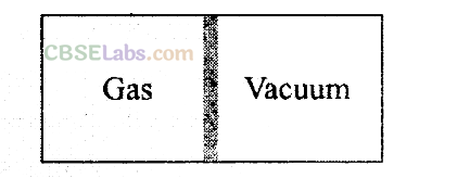 NCERT Exemplar Class 11 Physics Chapter 11 Thermodynamics-13