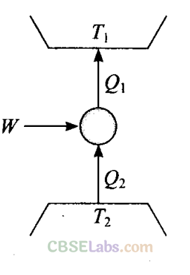 NCERT Exemplar Class 11 Physics Chapter 11 Thermodynamics-16