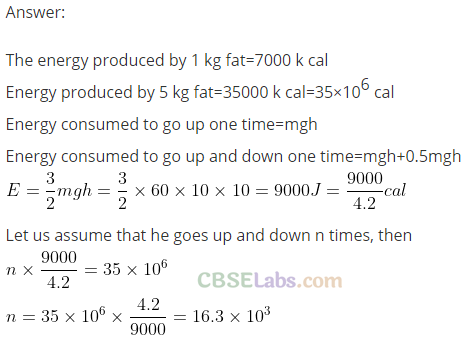 NCERT Exemplar Class 11 Physics Chapter 11 Thermodynamics-22