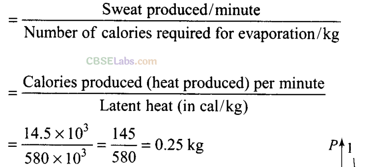 NCERT Exemplar Class 11 Physics Chapter 11 Thermodynamics-1