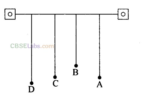 NCERT Exemplar Class 11 Physics Chapter 13 Oscillations-12