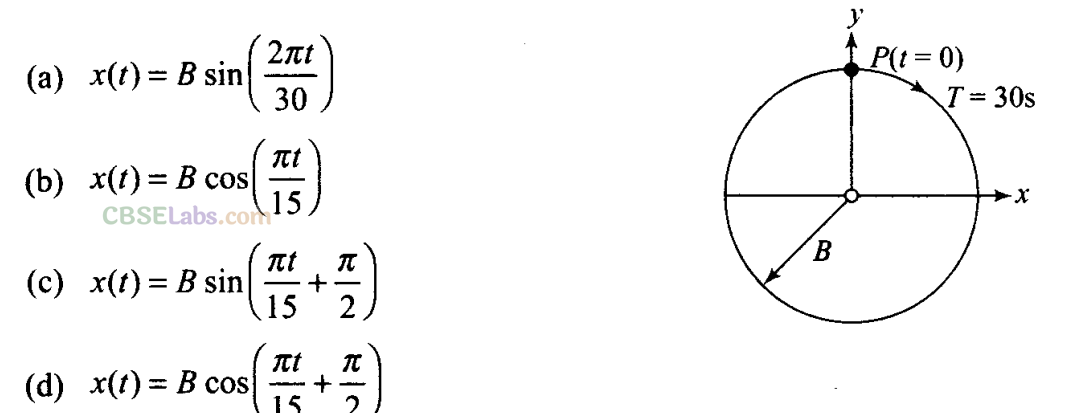 NCERT Exemplar Class 11 Physics Chapter 13 Oscillations-13