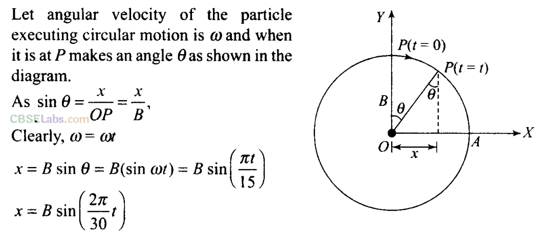 NCERT Exemplar Class 11 Physics Chapter 13 Oscillations-15