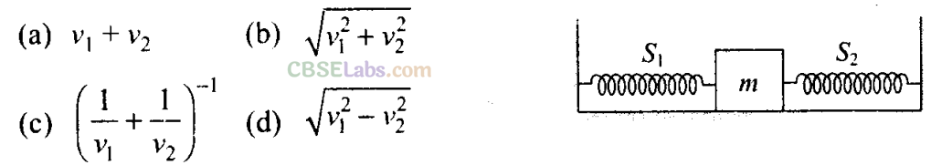 NCERT Exemplar Class 11 Physics Chapter 13 Oscillations-19
