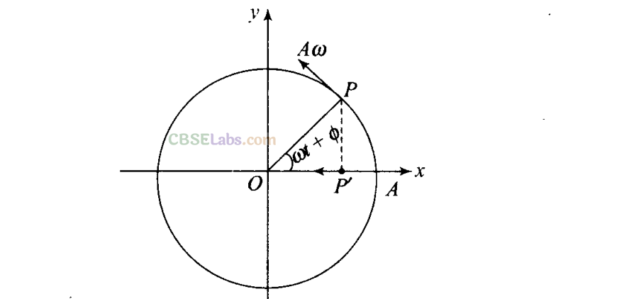 NCERT Exemplar Class 11 Physics Chapter 13 Oscillations-40