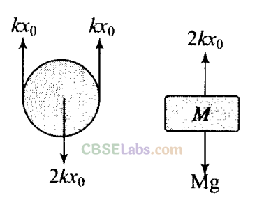 NCERT Exemplar Class 11 Physics Chapter 13 Oscillations-47