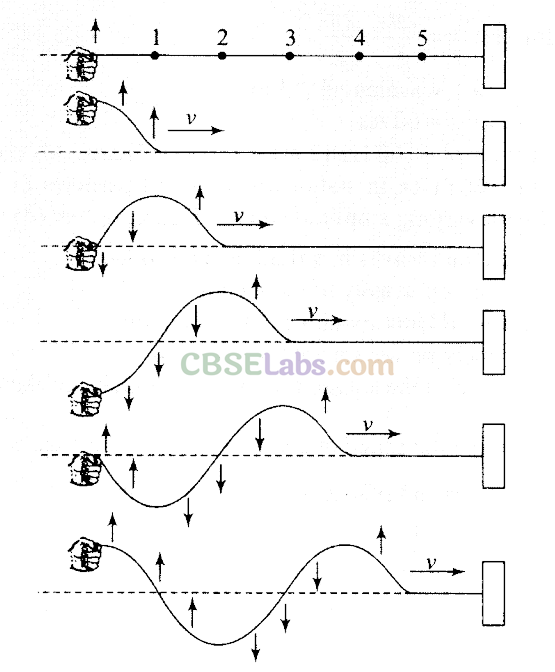 NCERT Exemplar Class 11 Physics Chapter 14 Waves-25