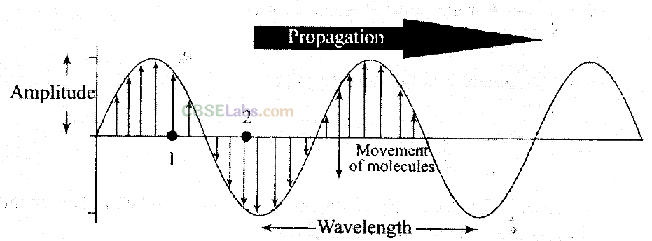NCERT Exemplar Class 11 Physics Chapter 14 Waves-3