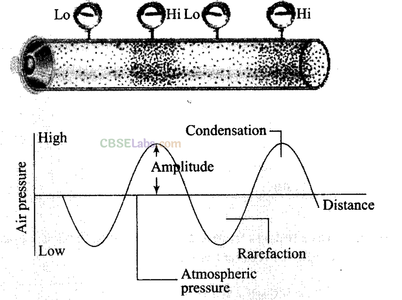 NCERT Exemplar Class 11 Physics Chapter 14 Waves-4