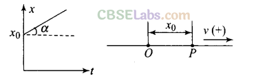 NCERT Exemplar Class 11 Physics Chapter 2 Motion in a Straight Line-10