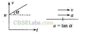NCERT Exemplar Class 11 Physics Chapter 2 Motion in a Straight Line-11