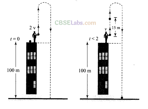 NCERT Exemplar Class 11 Physics Chapter 2 Motion in a Straight Line-49