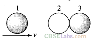 NCERT Exemplar Class 11 Physics Chapter 5 Work, Energy and Power-9