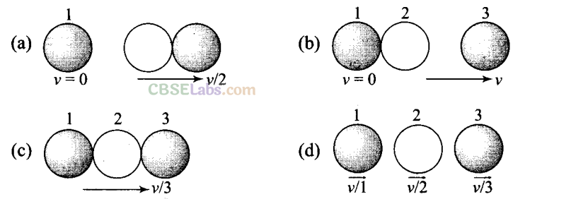 NCERT Exemplar Class 11 Physics Chapter 5 Work, Energy and Power-10