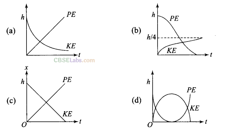 NCERT Exemplar Class 11 Physics Chapter 5 Work, Energy and Power-18