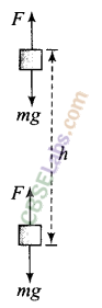 NCERT Exemplar Class 11 Physics Chapter 5 Work, Energy and Power-27