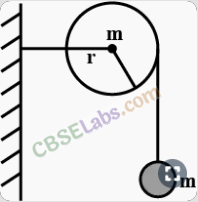 NCERT Exemplar Class 11 Physics Chapter 5 Work, Energy and Power-28