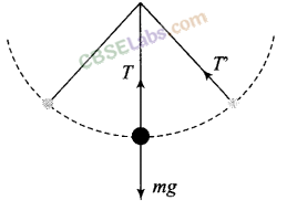 NCERT Exemplar Class 11 Physics Chapter 5 Work, Energy and Power-30