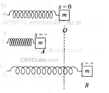 NCERT Exemplar Class 11 Physics Chapter 5 Work, Energy and Power-6