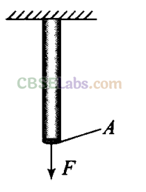 NCERT Exemplar Class 11 Physics Chapter 8 Mechanical Properties of Solids-10