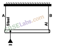 NCERT Exemplar Class 11 Physics Chapter 8 Mechanical Properties of Solids-11