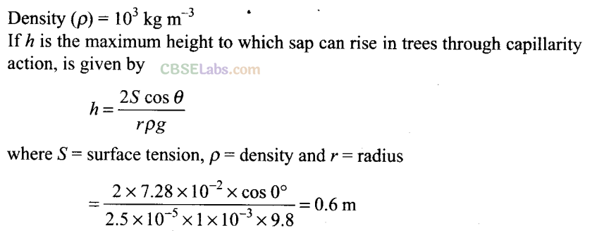 NCERT Exemplar Class 11 Physics Chapter 9 Mechanical Properties of Fluids-14