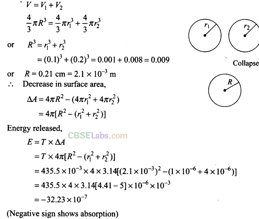 NCERT Exemplar Class 11 Physics Chapter 9 Mechanical Properties of Fluids-17
