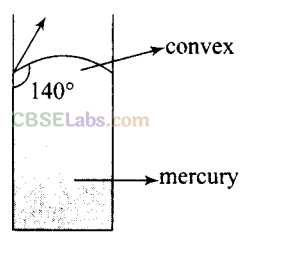 NCERT Exemplar Class 11 Physics Chapter 9 Mechanical Properties of Fluids-2