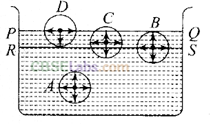 NCERT Exemplar Class 11 Physics Chapter 9 Mechanical Properties of Fluids-3