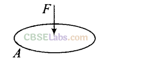 NCERT Exemplar Class 11 Physics Chapter 9 Mechanical Properties of Fluids-4