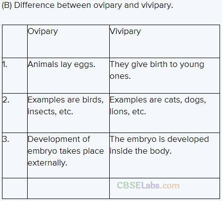 NCERT Exemplar Class 12 Biology Chapter 1 Reproduction in Organisms-10
