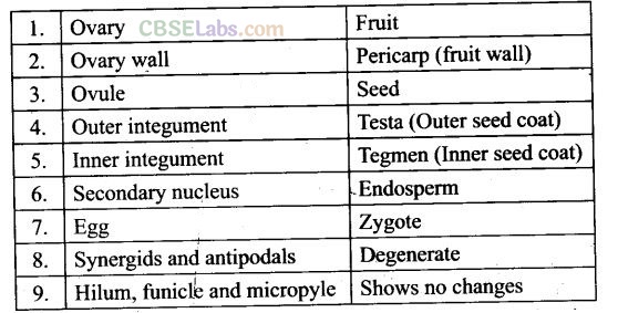 NCERT Exemplar Class 12 Biology Chapter 1 Reproduction in Organisms-5