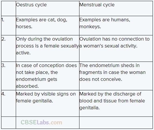 NCERT Exemplar Class 12 Biology Chapter 1 Reproduction in Organisms-8