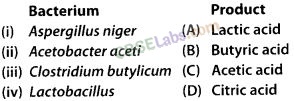 NCERT-Exemplar-Class-12-Biology-Chapter-10-Microbes-in-Human-Welfare-1