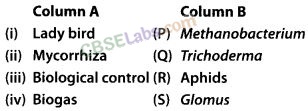 NCERT Exemplar Class 12 Biology Chapter 10 Microbes in Human Welfare-3