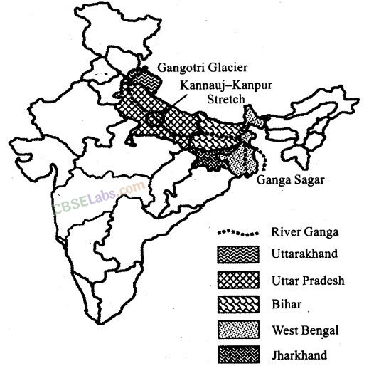 NCERT Exemplar Class 12 Biology Chapter 10 Microbes in Human Welfare-5