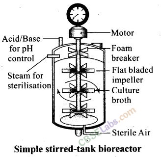 NCERT Exemplar Class 12 Biology Chapter 11 Biotechnology: Principles and Processes-5