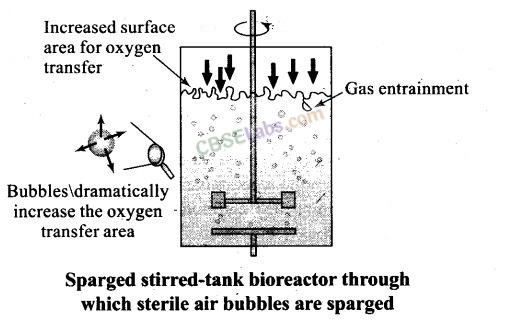NCERT Exemplar Class 12 Biology Chapter 11 Biotechnology: Principles and Processes-6