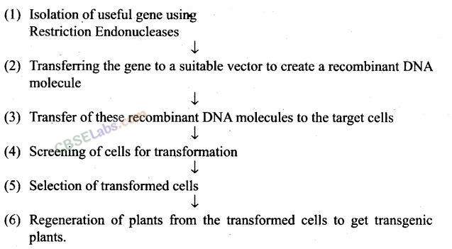 NCERT-Exemplar-Class-12-Biology-Chapter-12-Biotechnology-and-its-Applications-1