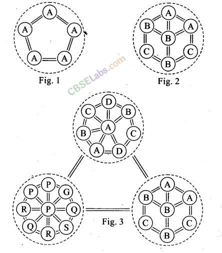 NCERT Exemplar Class 12 Biology Chapter 13 Organisms and Populations-9